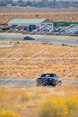 media/Nov-16-2024-Extreme Speed (Sat) [[6587d07cc4]]/Purple Group/Session 1 (Turn 2)/